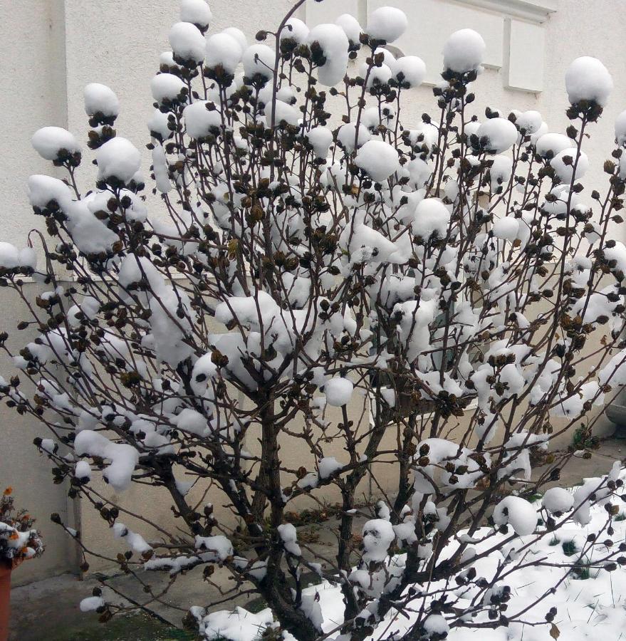 Hostel Maros Yanıkkale Dış mekan fotoğraf